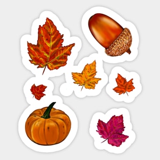 Autumn thanksgiving acorn, pumpkin, maple leaf decorations for  Fall Autumn leaves sticker pack pattern Sticker